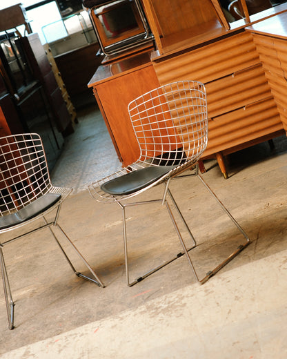 Bertoia Chair (Reproduction)