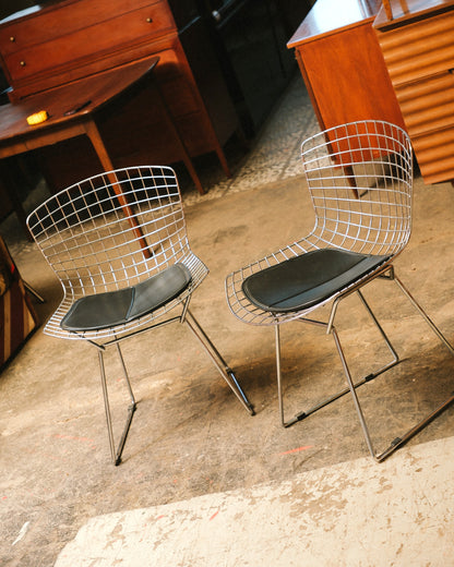 Bertoia Chair (Reproduction)
