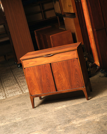 MCM Dark Walnut Cabinet / Vinyl Holder by KF (Restored)