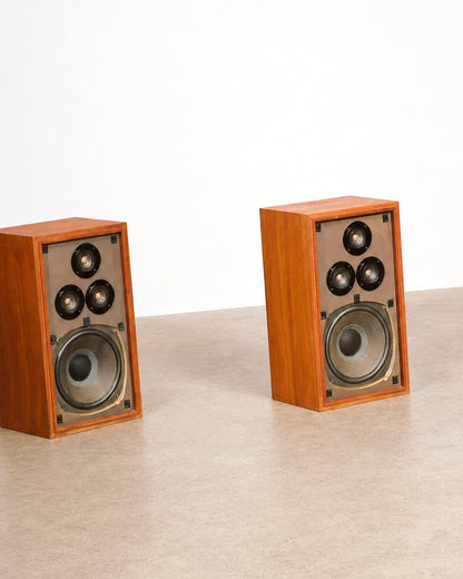 Close-up of the woofer cone and surround on one speaker.