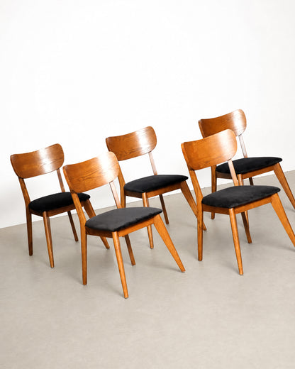 Set of six dining chairs arranged together showing curved backs, tapered legs, and black velvet seats.